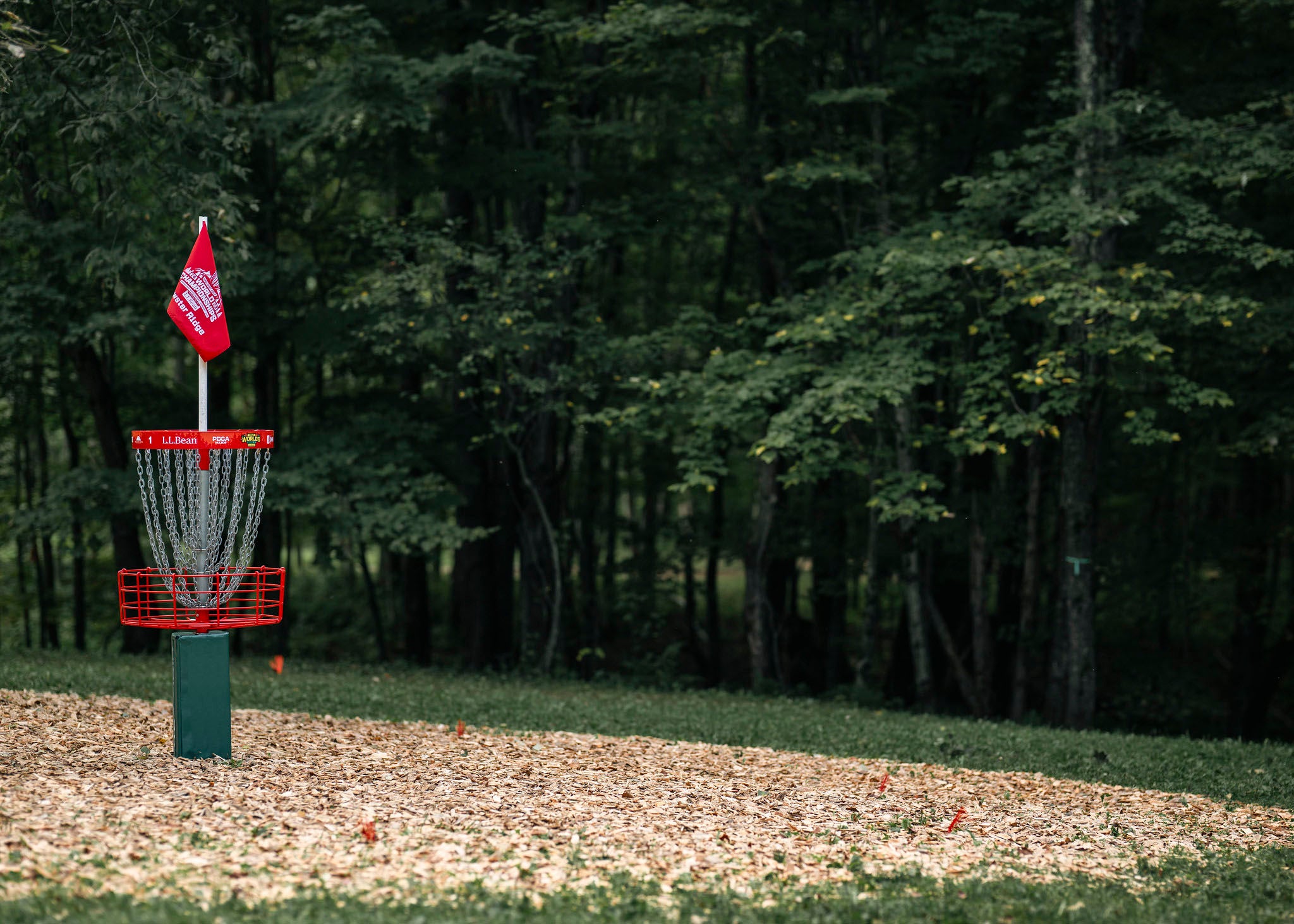 Disc Golf Basket